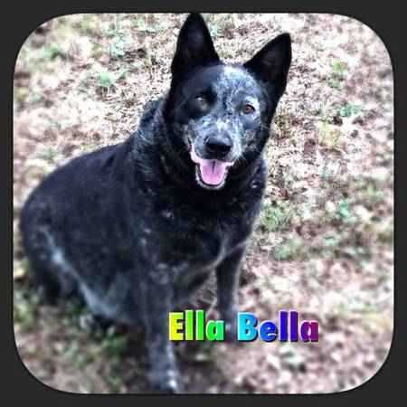 ELLA BELLA