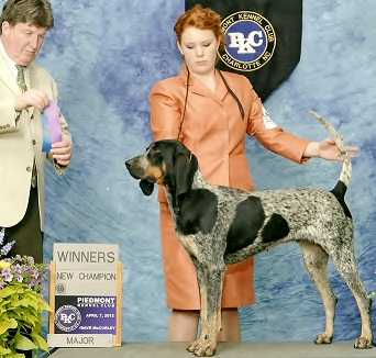Evenstar hounds deals