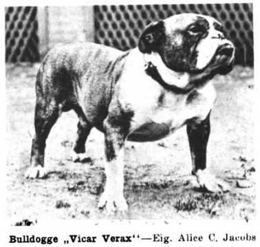 Vicar Verax (c.1922)