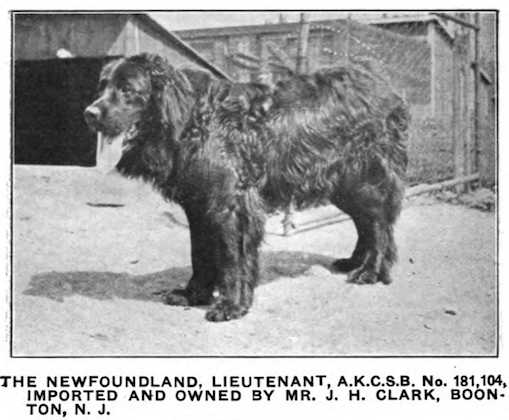 Lieutenant (1913) 181104