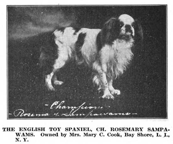 Rosemary Sampawams