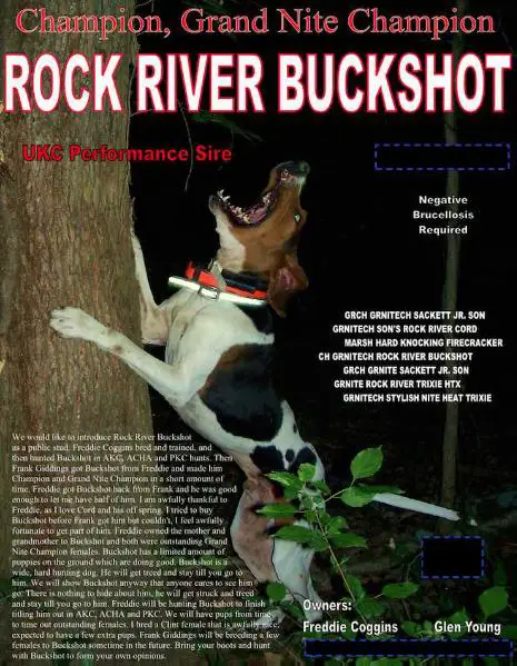 Rock River Buckshot