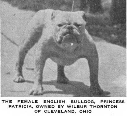 Princess Patricia (~1920) (Wilbur Thornton's)