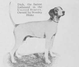 Dick (Stanley Blake's) (~1920)