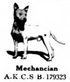 Mechanician (AKC 179323)