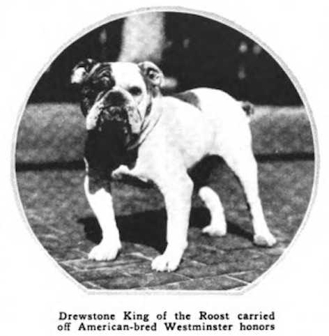 Drewstone King (~1918)