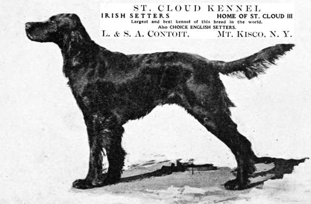 St. Cloud III
