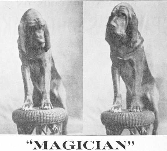 Magician
