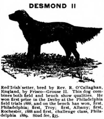 Desmond II (~1888) (Frisco x Grouse II)