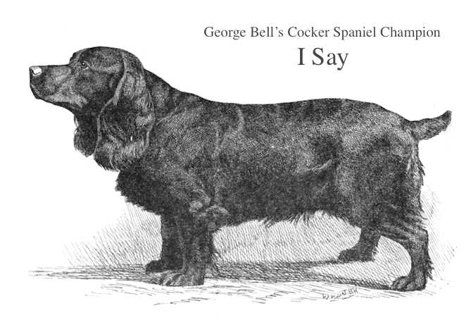 I Say (Mr. George Bell's) (~1891)