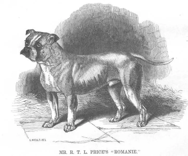 Romanie [Mr. R.T.L. Price's]