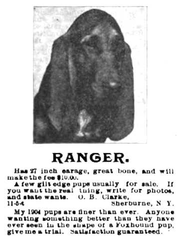Ranger (~1904)