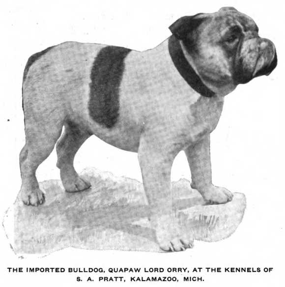 Quapaw Lord Orry 176110