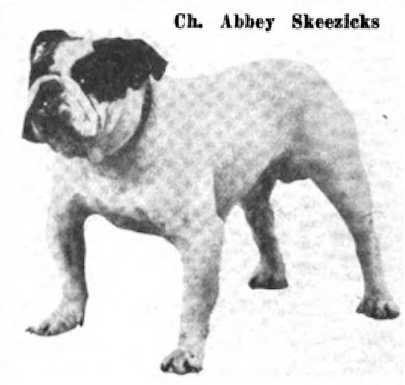 Abbey Skeezicks 155398