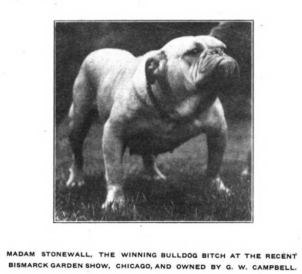 Madam Stonewall 172627