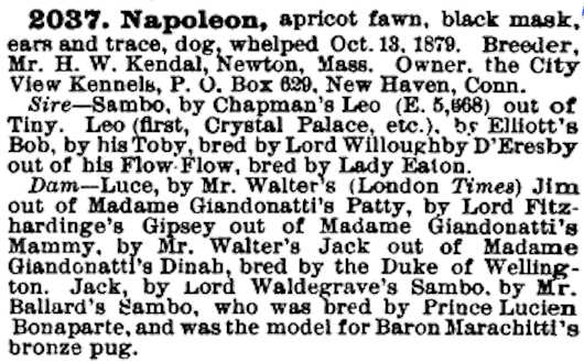 Napoleon (1879) AKR 002037