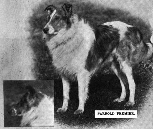Parbold Premier