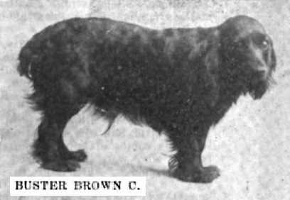 Buster Brown C