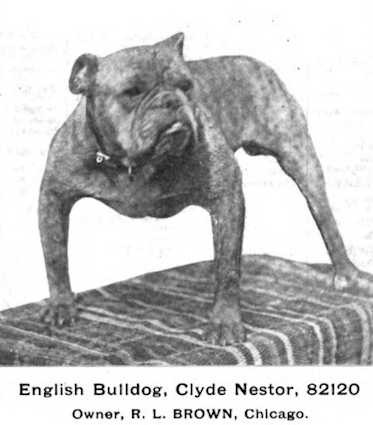 Clyde Nestor (82120)