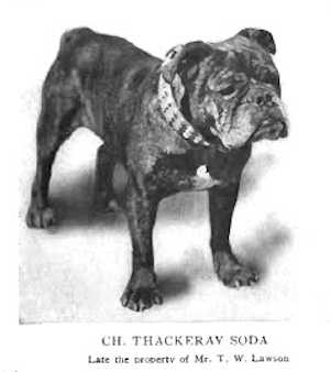 Thackeray Soda