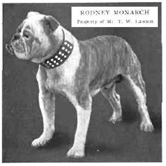 Rodney Monarch