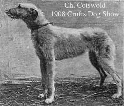 Cotswold [Mrs P. Shewell]