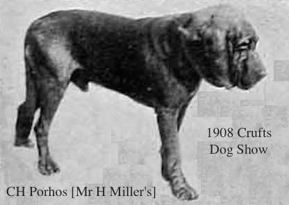 Porhos [Mr H Miller's]