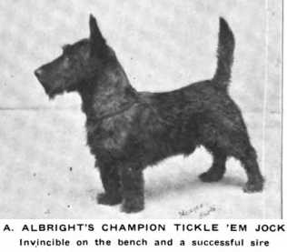 Tickle 'Em Jock