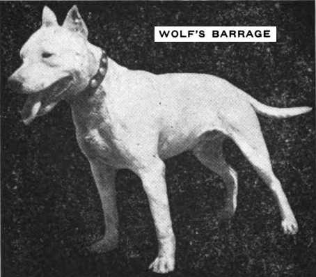Wolf's Barrage