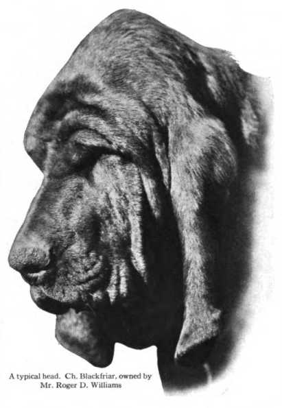 Blackfriar [Mr Roger D Williams (~1915)