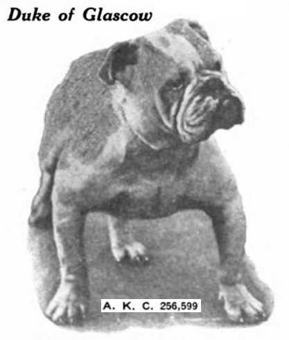 Duke of Glascow (256599)