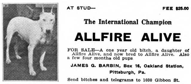 Allfire Alive (~1919)
