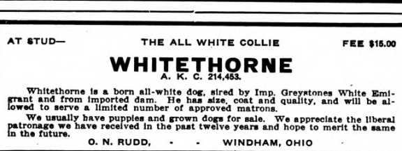 Whitehorn (214453)