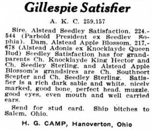Gillespie Satisfier (259157)