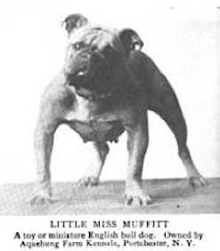 Little Miss Muffitt