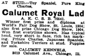 Calumet Royal Lad (076541)