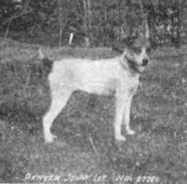 Denver Jennie Lee