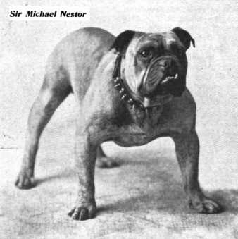 Sir Michael Nester (100208)