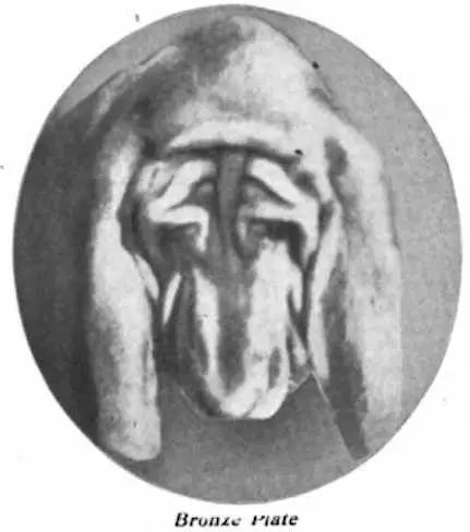 Bronze Plate