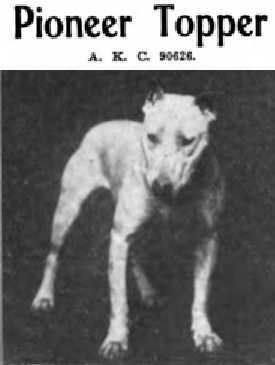 Pioneer Topper (090626)