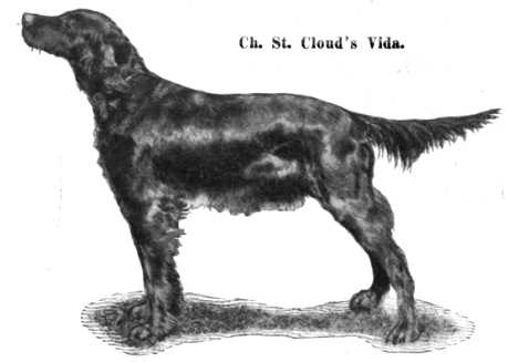 St Cloud's Vida