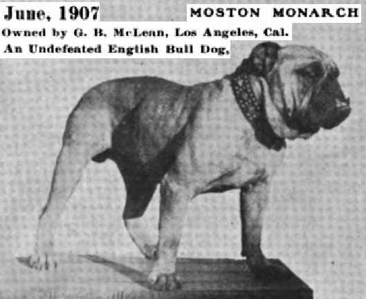 Moston Monarch
