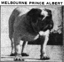 Melbourne Prince Albert