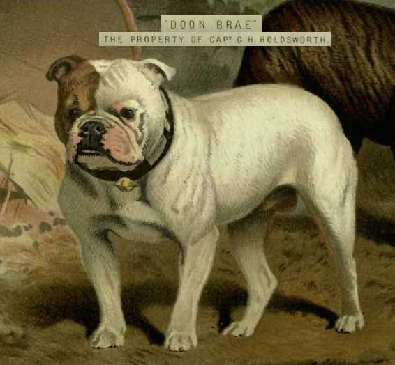 Doon Brae [Capt G.H. Holdsworth's]