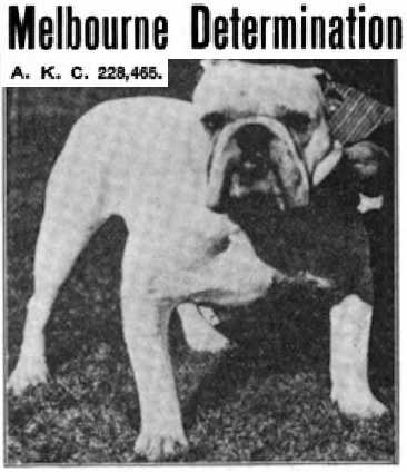 Melbourne Determination (228465)
