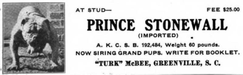 Prince Stonewall (192484)