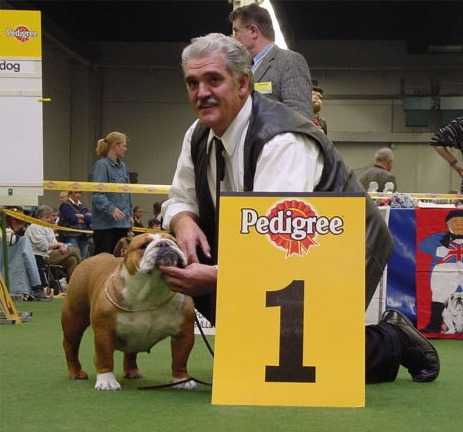 Mervander Go for Gold