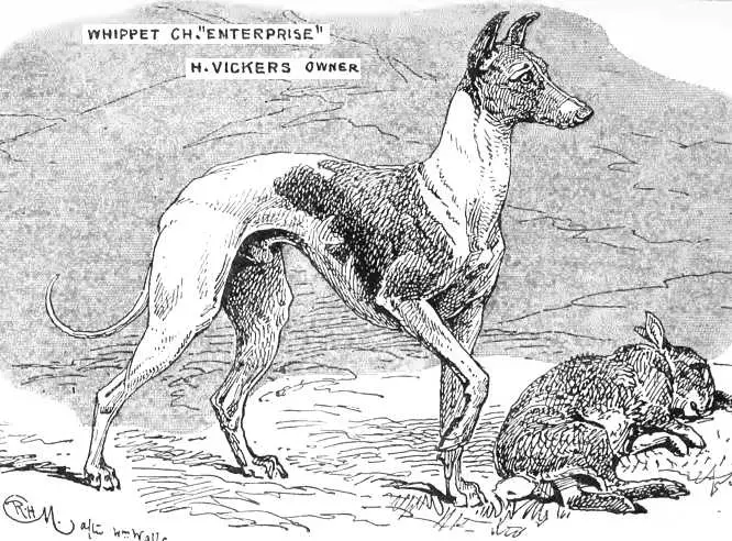 Enterprise [H. Vickers]