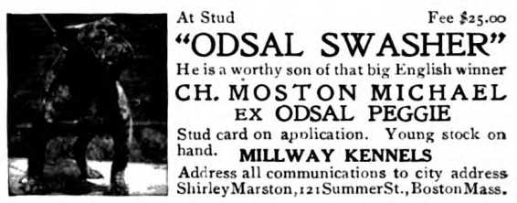 Odsal Swasher (c.1908)