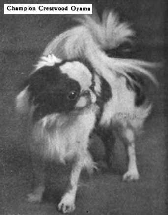 Crestwood Oyama (c.1908)